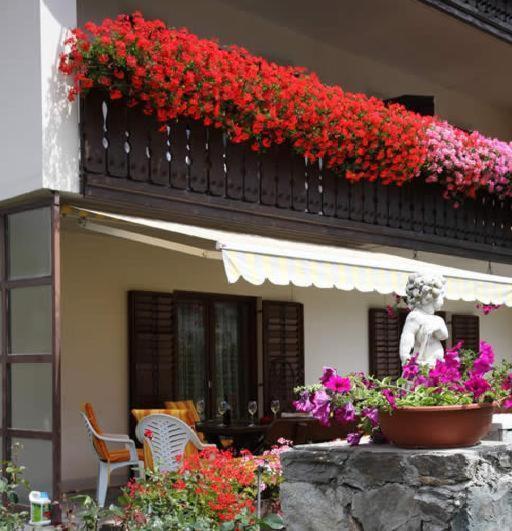 Pension Tannenhof ラーチェス エクステリア 写真