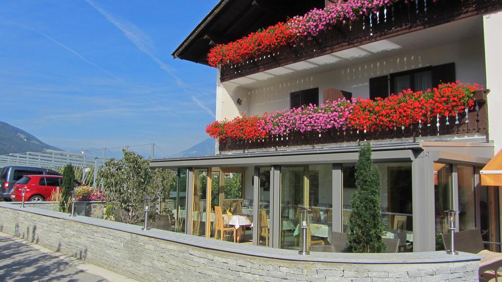 Pension Tannenhof ラーチェス エクステリア 写真